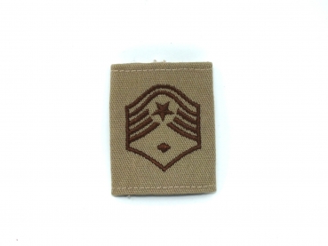 Master Sergeant deferment badge in DCU