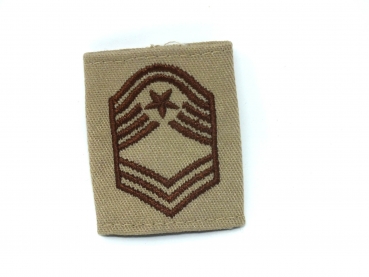 Chief Master Sergeant deferment badge in DCU