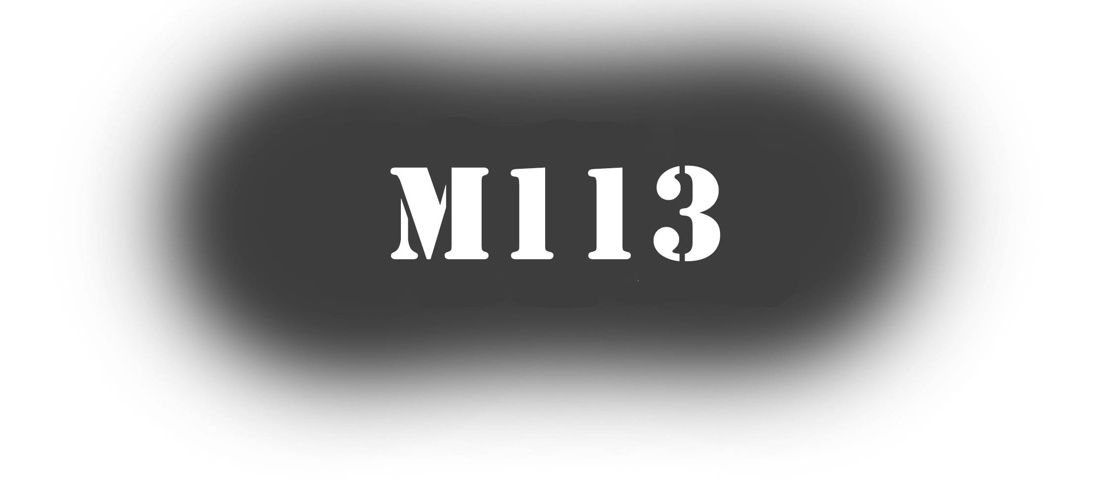 M113 MTW